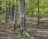 Lot 147 Cabin Mountain Road, Davis, West Virginia 26260, ,Lots/land,For Sale,Cabin Mountain,10158709