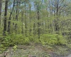 Lot 147 Cabin Mountain Road, Davis, West Virginia 26260, ,Lots/land,For Sale,Cabin Mountain,10158709