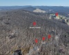 Lots 20, 21, 22 Greenbrier Lane, Terra Alta, West Virginia 26764, ,Lots/land,For Sale,Greenbrier,10158686