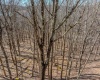 Lots 20, 21, 22 Greenbrier Lane, Terra Alta, West Virginia 26764, ,Lots/land,For Sale,Greenbrier,10158686