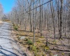 Lots 20, 21, 22 Greenbrier Lane, Terra Alta, West Virginia 26764, ,Lots/land,For Sale,Greenbrier,10158686