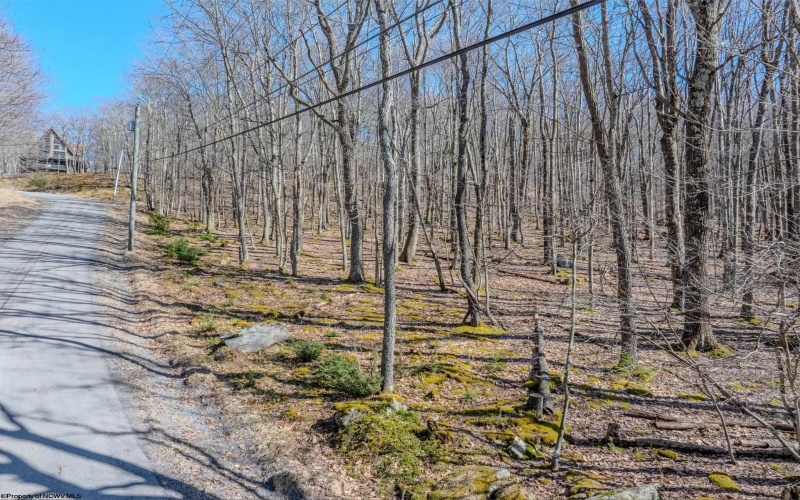 Lots 20, 21, 22 Greenbrier Lane, Terra Alta, West Virginia 26764, ,Lots/land,For Sale,Greenbrier,10158686