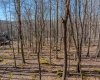 Lots 20, 21, 22 Greenbrier Lane, Terra Alta, West Virginia 26764, ,Lots/land,For Sale,Greenbrier,10158686