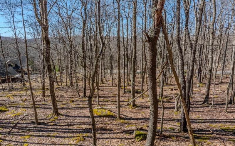 Lots 20, 21, 22 Greenbrier Lane, Terra Alta, West Virginia 26764, ,Lots/land,For Sale,Greenbrier,10158686