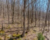 Lots 20, 21, 22 Greenbrier Lane, Terra Alta, West Virginia 26764, ,Lots/land,For Sale,Greenbrier,10158686