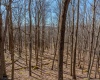 Lots 20, 21, 22 Greenbrier Lane, Terra Alta, West Virginia 26764, ,Lots/land,For Sale,Greenbrier,10158686