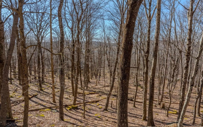 Lots 20, 21, 22 Greenbrier Lane, Terra Alta, West Virginia 26764, ,Lots/land,For Sale,Greenbrier,10158686