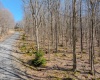 Lots 20, 21, 22 Greenbrier Lane, Terra Alta, West Virginia 26764, ,Lots/land,For Sale,Greenbrier,10158686