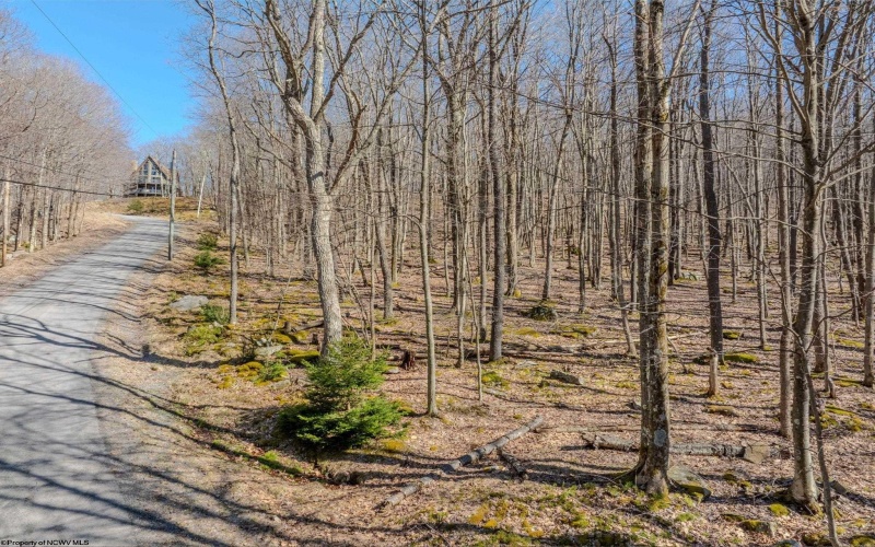 Lots 20, 21, 22 Greenbrier Lane, Terra Alta, West Virginia 26764, ,Lots/land,For Sale,Greenbrier,10158686