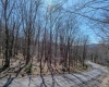 Lots 20, 21, 22 Greenbrier Lane, Terra Alta, West Virginia 26764, ,Lots/land,For Sale,Greenbrier,10158686