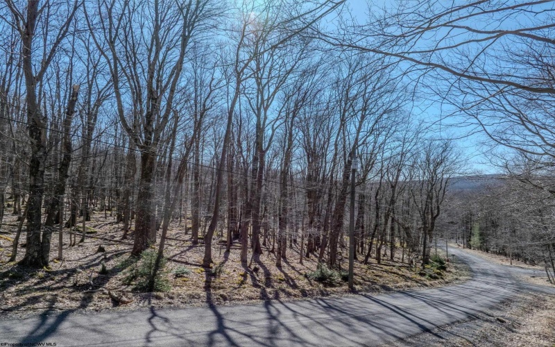 Lots 20, 21, 22 Greenbrier Lane, Terra Alta, West Virginia 26764, ,Lots/land,For Sale,Greenbrier,10158686