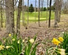 Lots 20, 21, 22 Greenbrier Lane, Terra Alta, West Virginia 26764, ,Lots/land,For Sale,Greenbrier,10158686