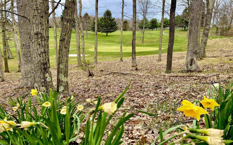 Lots 20, 21, 22 Greenbrier Lane, Terra Alta, West Virginia 26764, ,Lots/land,For Sale,Greenbrier,10158686