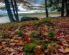 Lots 20, 21, 22 Greenbrier Lane, Terra Alta, West Virginia 26764, ,Lots/land,For Sale,Greenbrier,10158686