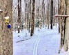 Lots 20, 21, 22 Greenbrier Lane, Terra Alta, West Virginia 26764, ,Lots/land,For Sale,Greenbrier,10158686