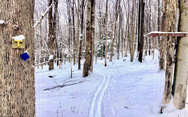 Lots 20, 21, 22 Greenbrier Lane, Terra Alta, West Virginia 26764, ,Lots/land,For Sale,Greenbrier,10158686