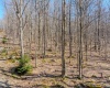 Lots 20, 21, 22 Greenbrier Lane, Terra Alta, West Virginia 26764, ,Lots/land,For Sale,Greenbrier,10158686