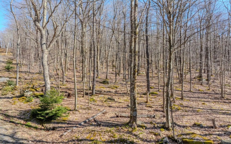 Lots 20, 21, 22 Greenbrier Lane, Terra Alta, West Virginia 26764, ,Lots/land,For Sale,Greenbrier,10158686