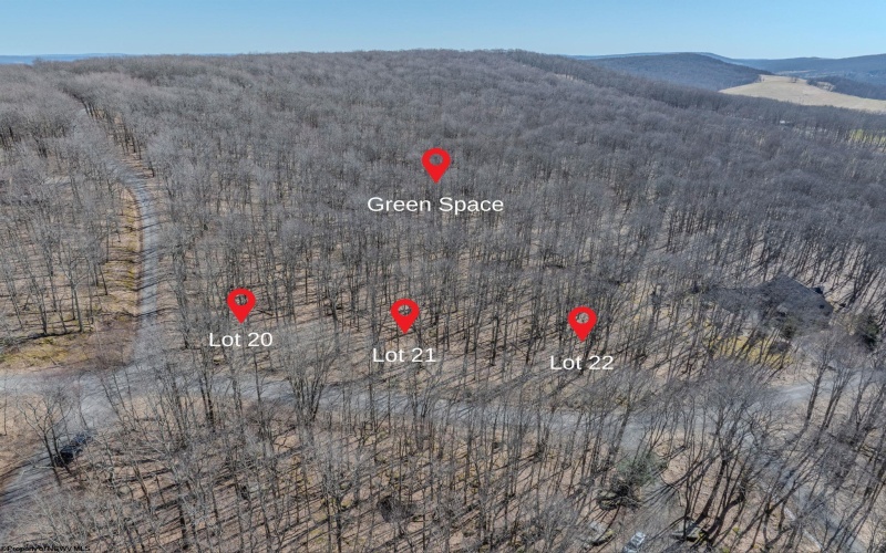 Lots 20, 21, 22 Greenbrier Lane, Terra Alta, West Virginia 26764, ,Lots/land,For Sale,Greenbrier,10158686