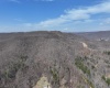 0 Crag Road, Rainelle, West Virginia 26201, ,Lots/land,For Sale,Crag,10158717