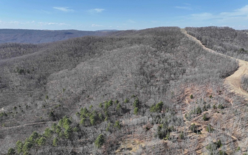 0 Crag Road, Rainelle, West Virginia 26201, ,Lots/land,For Sale,Crag,10158717