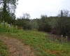 00000 Dutch Hollow, Weston, West Virginia 26452, ,Lots/land,For Sale,Dutch,10156551