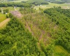 TBD Salem Road, Bruceton Mills, West Virginia 26525, ,Lots/land,For Sale,Salem,10158744