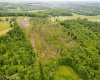 TBD Salem Road, Bruceton Mills, West Virginia 26525, ,Lots/land,For Sale,Salem,10158744