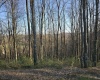 36 Stonecrest Drive, Grafton, West Virginia 26354, ,Lots/land,For Sale,Stonecrest,10158757