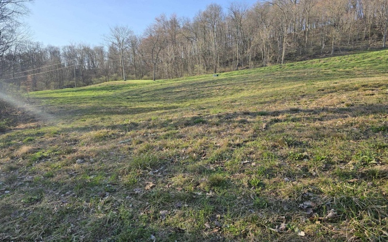 36 Stonecrest Drive, Grafton, West Virginia 26354, ,Lots/land,For Sale,Stonecrest,10158757