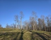 36 Stonecrest Drive, Grafton, West Virginia 26354, ,Lots/land,For Sale,Stonecrest,10158757