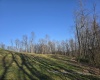 36 Stonecrest Drive, Grafton, West Virginia 26354, ,Lots/land,For Sale,Stonecrest,10158757