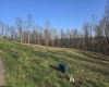 36 Stonecrest Drive, Grafton, West Virginia 26354, ,Lots/land,For Sale,Stonecrest,10158757
