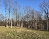 36 Stonecrest Drive, Grafton, West Virginia 26354, ,Lots/land,For Sale,Stonecrest,10158757