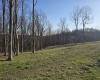 36 Stonecrest Drive, Grafton, West Virginia 26354, ,Lots/land,For Sale,Stonecrest,10158757