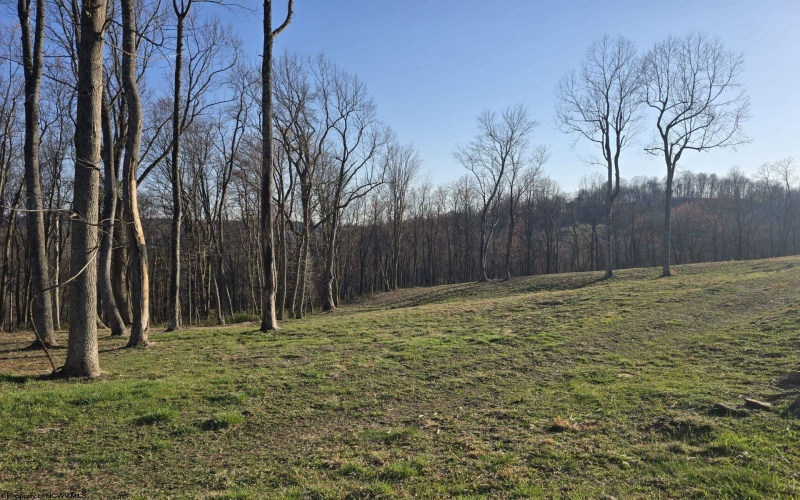 36 Stonecrest Drive, Grafton, West Virginia 26354, ,Lots/land,For Sale,Stonecrest,10158757