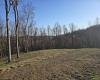 36 Stonecrest Drive, Grafton, West Virginia 26354, ,Lots/land,For Sale,Stonecrest,10158757