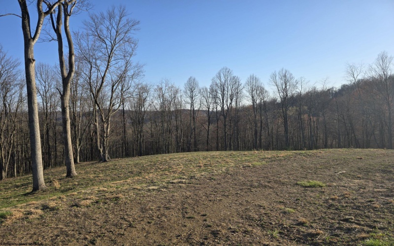 36 Stonecrest Drive, Grafton, West Virginia 26354, ,Lots/land,For Sale,Stonecrest,10158757