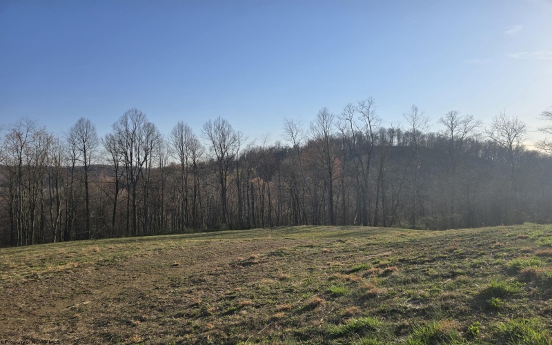 36 Stonecrest Drive, Grafton, West Virginia 26354, ,Lots/land,For Sale,Stonecrest,10158757