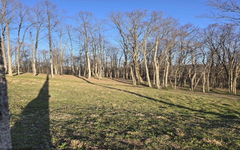 36 Stonecrest Drive, Grafton, West Virginia 26354, ,Lots/land,For Sale,Stonecrest,10158757