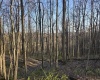 36 Stonecrest Drive, Grafton, West Virginia 26354, ,Lots/land,For Sale,Stonecrest,10158757