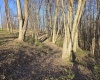 36 Stonecrest Drive, Grafton, West Virginia 26354, ,Lots/land,For Sale,Stonecrest,10158757