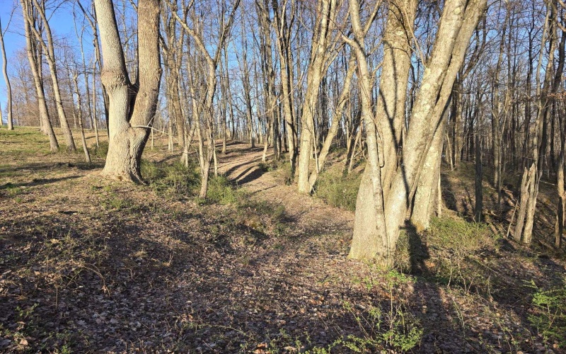 36 Stonecrest Drive, Grafton, West Virginia 26354, ,Lots/land,For Sale,Stonecrest,10158757