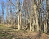 36 Stonecrest Drive, Grafton, West Virginia 26354, ,Lots/land,For Sale,Stonecrest,10158757