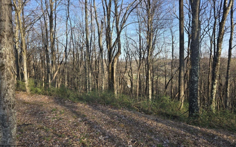36 Stonecrest Drive, Grafton, West Virginia 26354, ,Lots/land,For Sale,Stonecrest,10158757