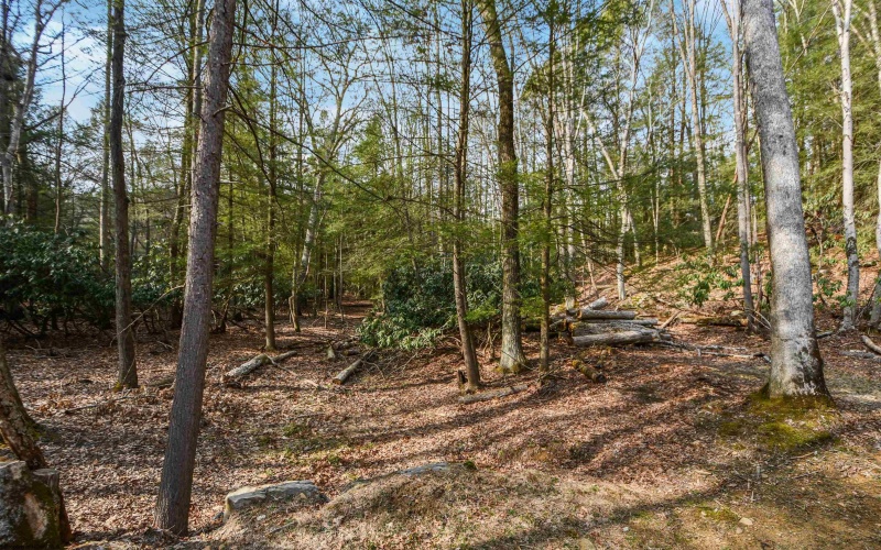 145 Bowers Lane, Bruceton Mills, West Virginia 26525, 2 Bedrooms Bedrooms, 6 Rooms Rooms,1 BathroomBathrooms,Single Family Detached,For Sale,Bowers,10158768