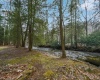 145 Bowers Lane, Bruceton Mills, West Virginia 26525, 2 Bedrooms Bedrooms, 6 Rooms Rooms,1 BathroomBathrooms,Single Family Detached,For Sale,Bowers,10158768