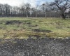 Lot 34 Wooten Drive, Thomas, West Virginia 26292, ,Lots/land,For Sale,Wooten,10158793