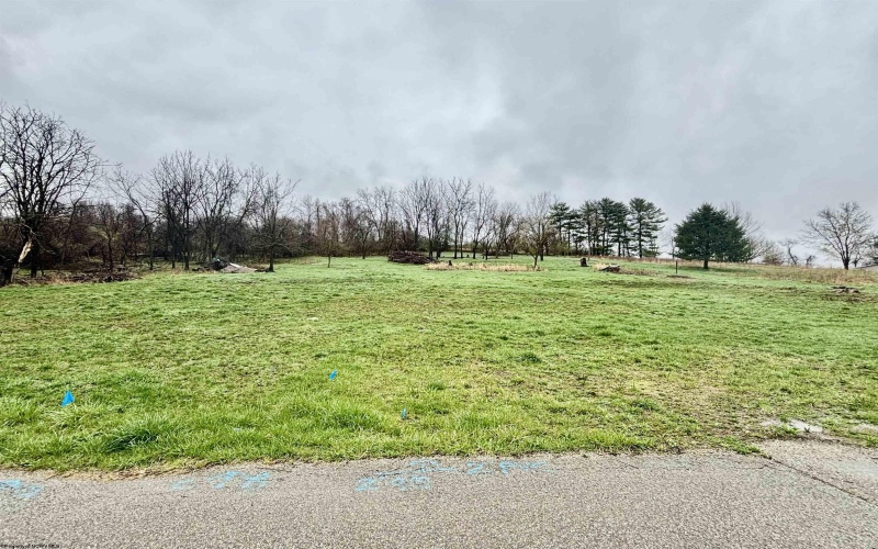 1126 Jenkins Street, Uniontown, Pennsylvania 15401, ,Lots/land,For Sale,Jenkins,10158786