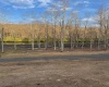 Lot 17 Wooten Drive, Thomas, West Virginia 26292, ,Lots/land,For Sale,Wooten,10158788